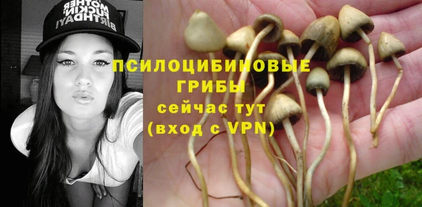 COCAINE Алексеевка