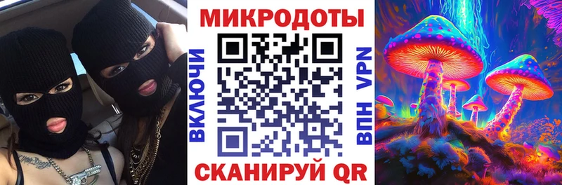 купить  цена  блэк спрут ONION  Галлюциногенные грибы Psilocybine cubensis  Иланский 